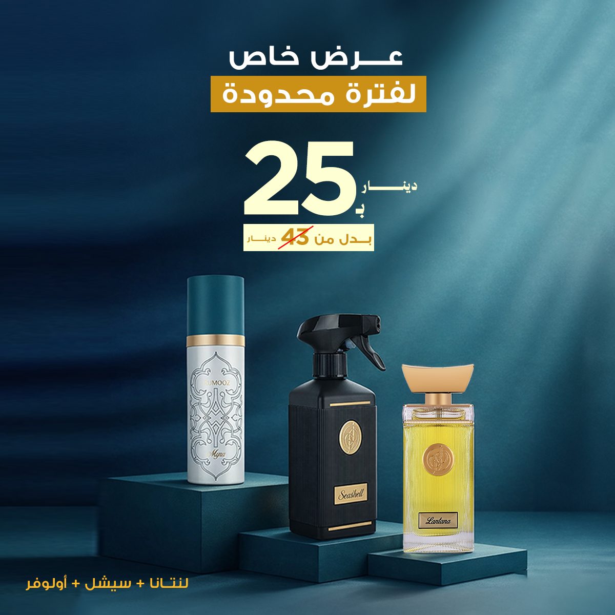 Lantana Special offer